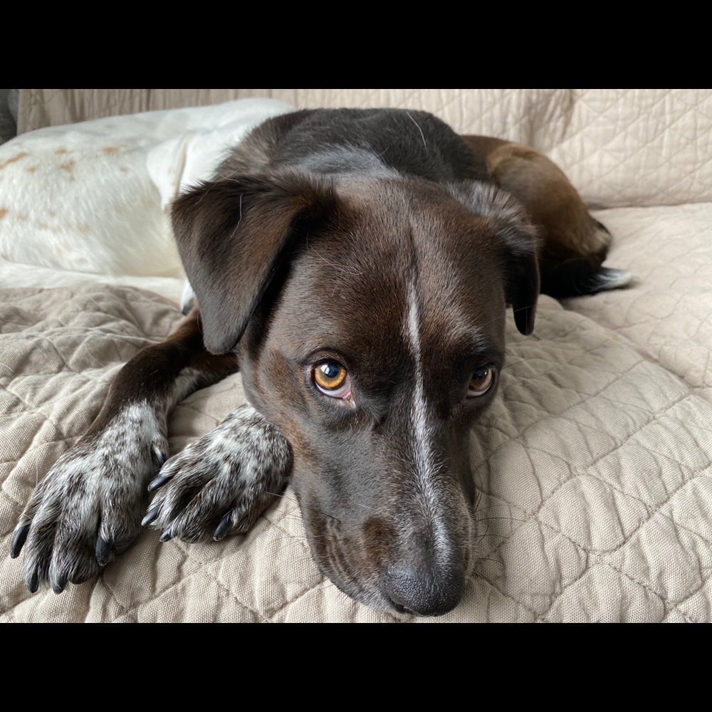 Meet your Posher, Alexis